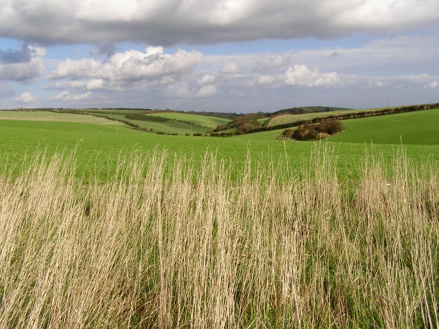 Lot | Fear, Desire, and the Cost of Looking&nbsp;Back